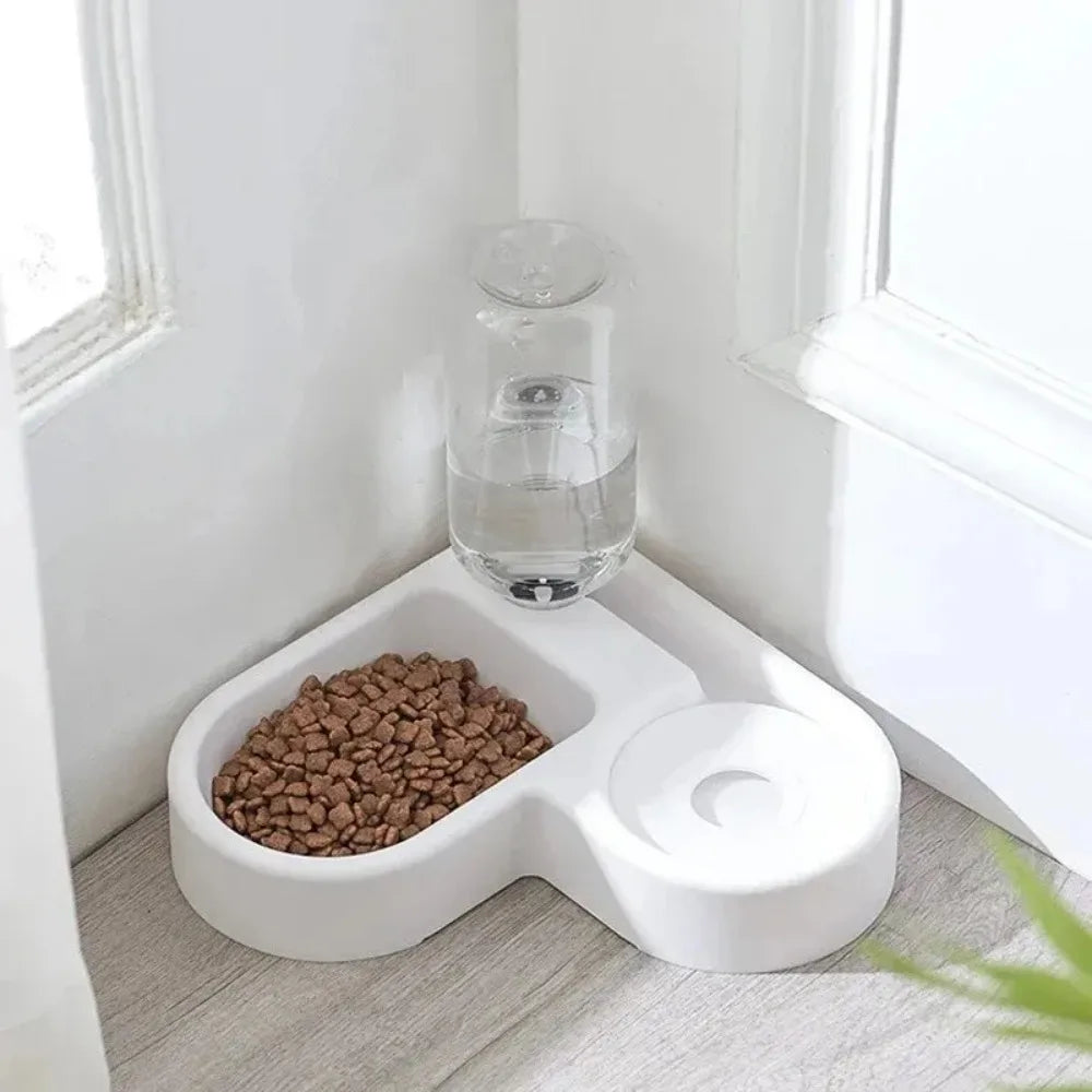 Dual Pet Feeding Bowl Set