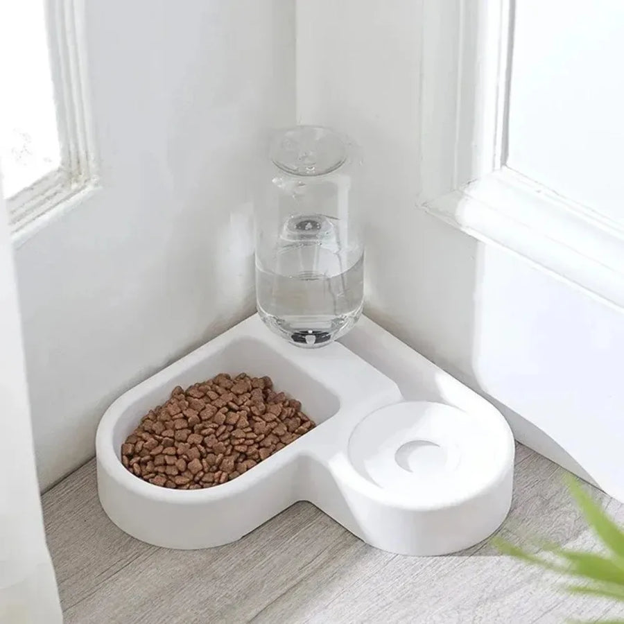 Dual Pet Feeding Bowl Set
